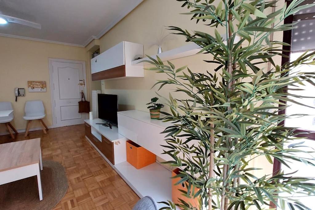 Apartment Bolardos Zamora